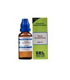 SBL Homeopathy Thuja Occidentalis Dilution | Grocsy