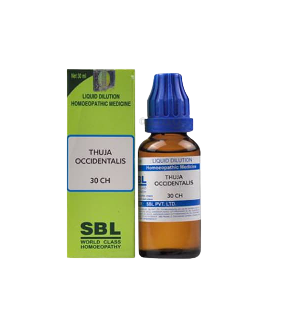 SBL Homeopathy Thuja Occidentalis Dilution | Grocsy