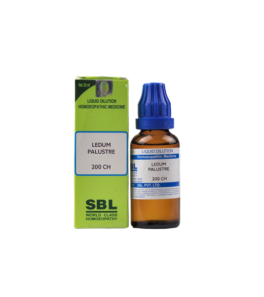 SBL Homeopathy Ledum Palustre Dilution | Grocsy