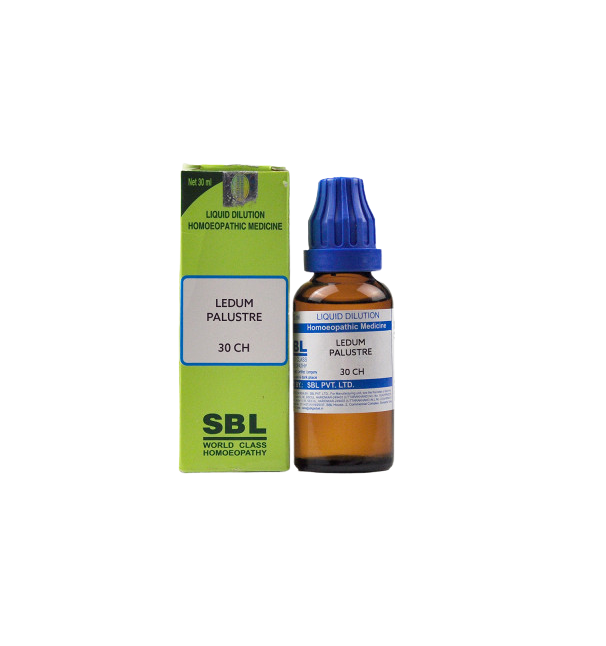 SBL Homeopathy Ledum Palustre Dilution | Grocsy