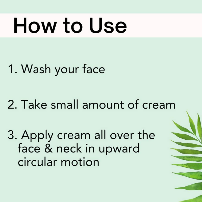 Devriz Professional Pigmentation Removal Cream Night Cream | Grocsy