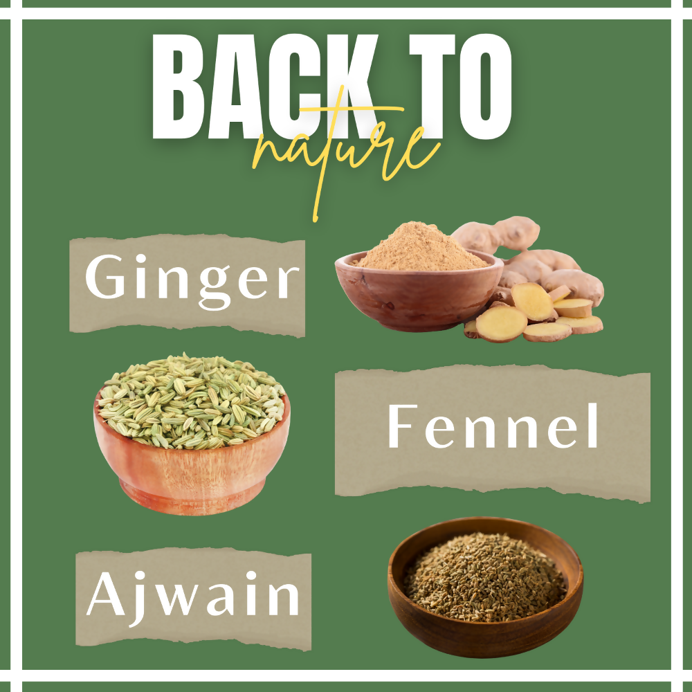 Satvi Wellness Fennel Ginger Ajwain Tea | Fennel Tea | Ginger Tea | Ajwain Tea | Herbal Tea | Grocsy