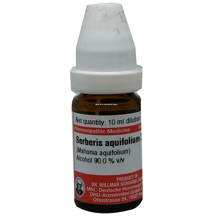 Dr. Willmar Schwabe Germany Berberis Aquifolium Dilution | Grocsy