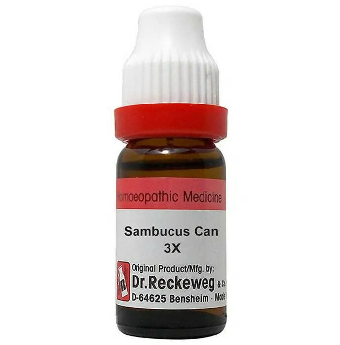 Dr. Reckeweg Sambucus Can Dilution | Grocsy