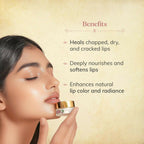 Chengavi Manjishta & Cow Ghee Lip Balm | Grocsy