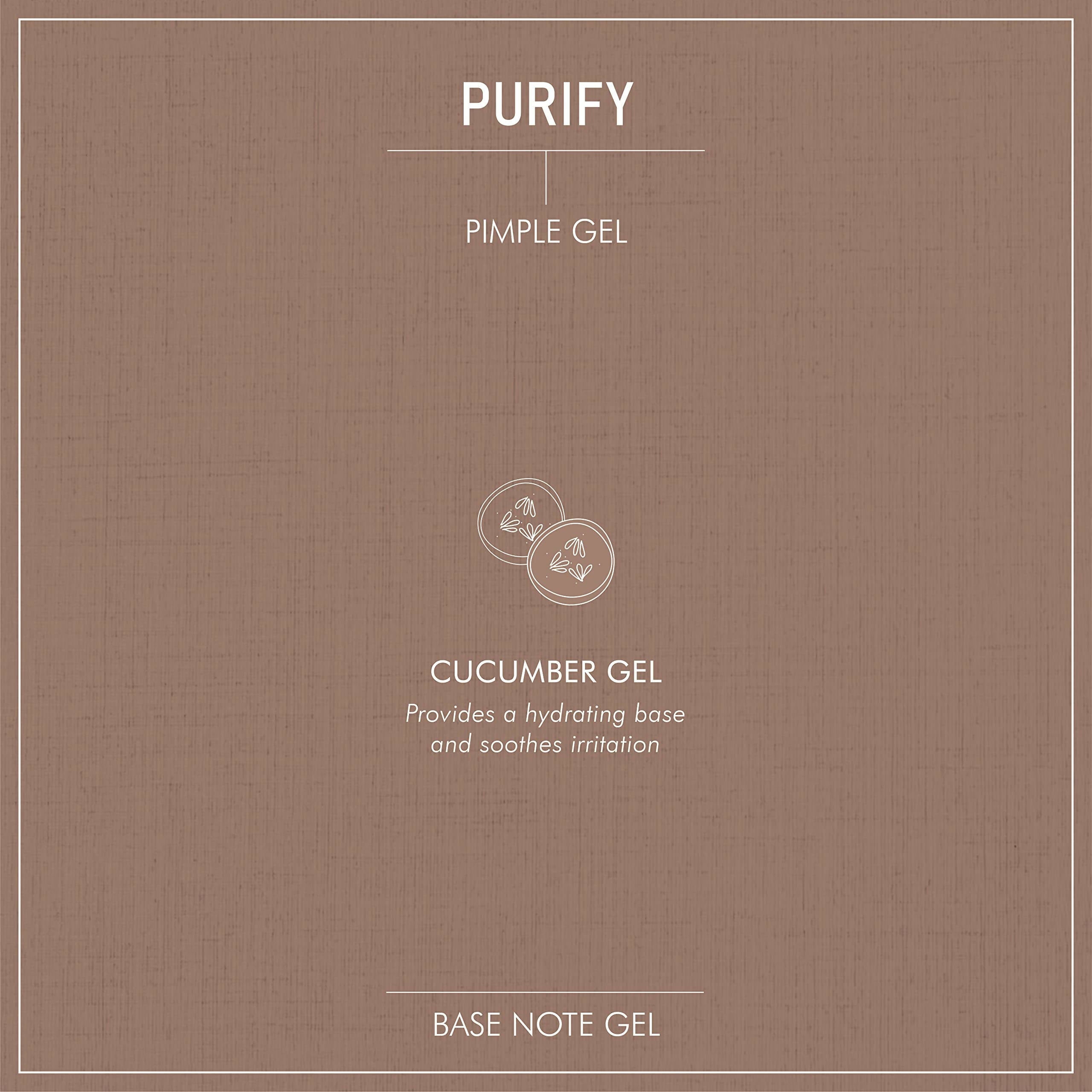 Secret Alchemist Purify Pimple Gel | Grocsy
