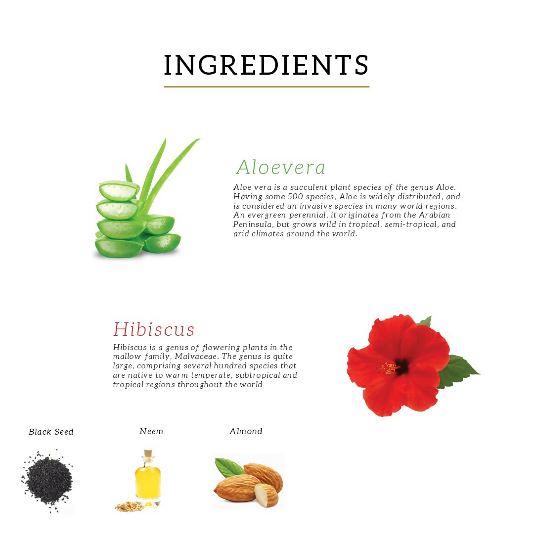 Khadi Natural Hibiscus & Aloevera Shampoo | Grocsy