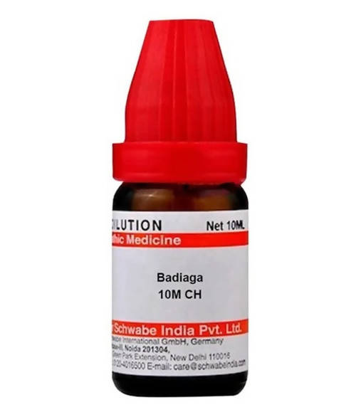 Dr. Willmar Schwabe India Badiaga Dilution | Grocsy