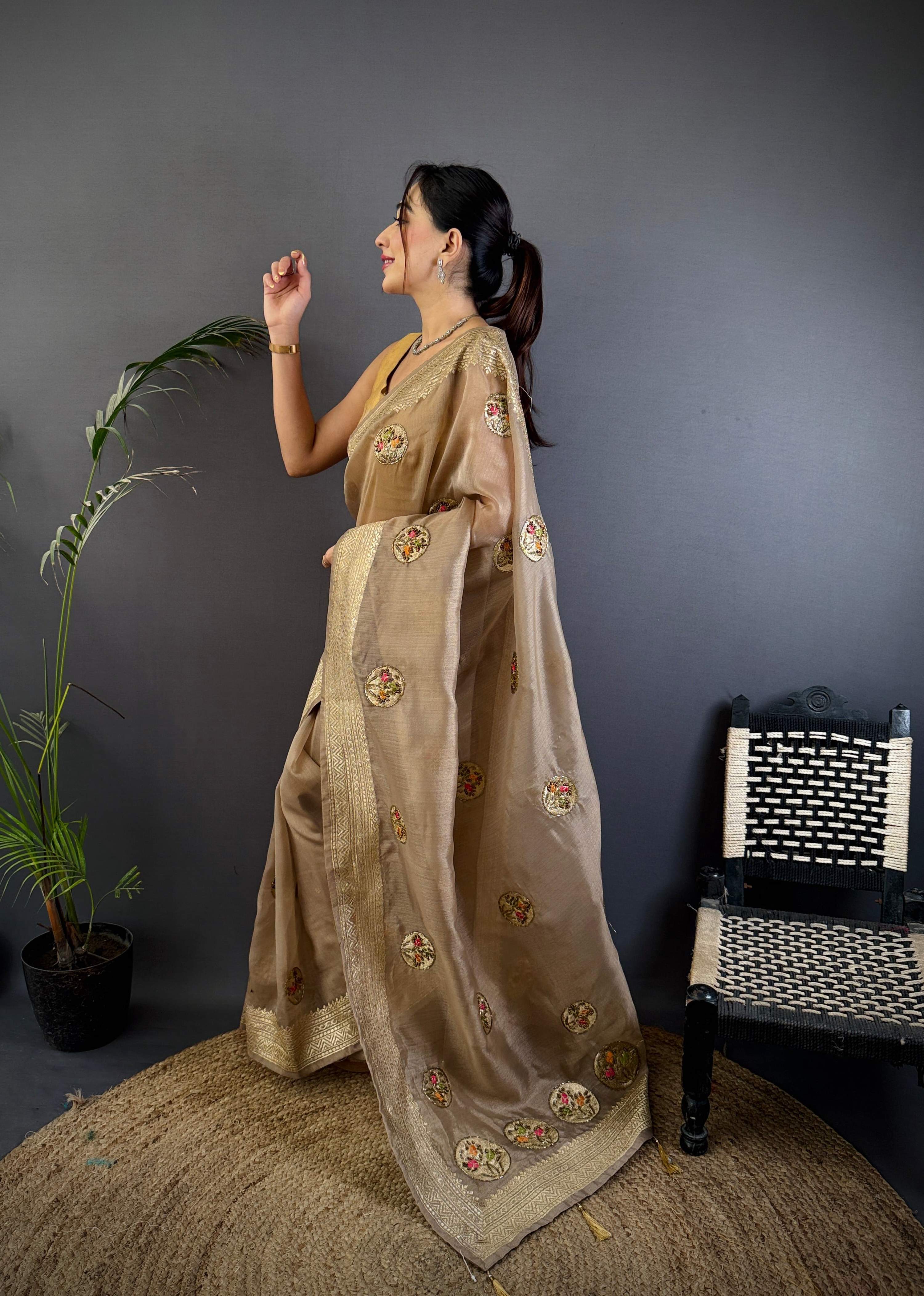 Sonakshi Women'S Chiku Pure Organza Silk With Attractive Embroidery Work Traditional Saree With Blouse | Grocsy
