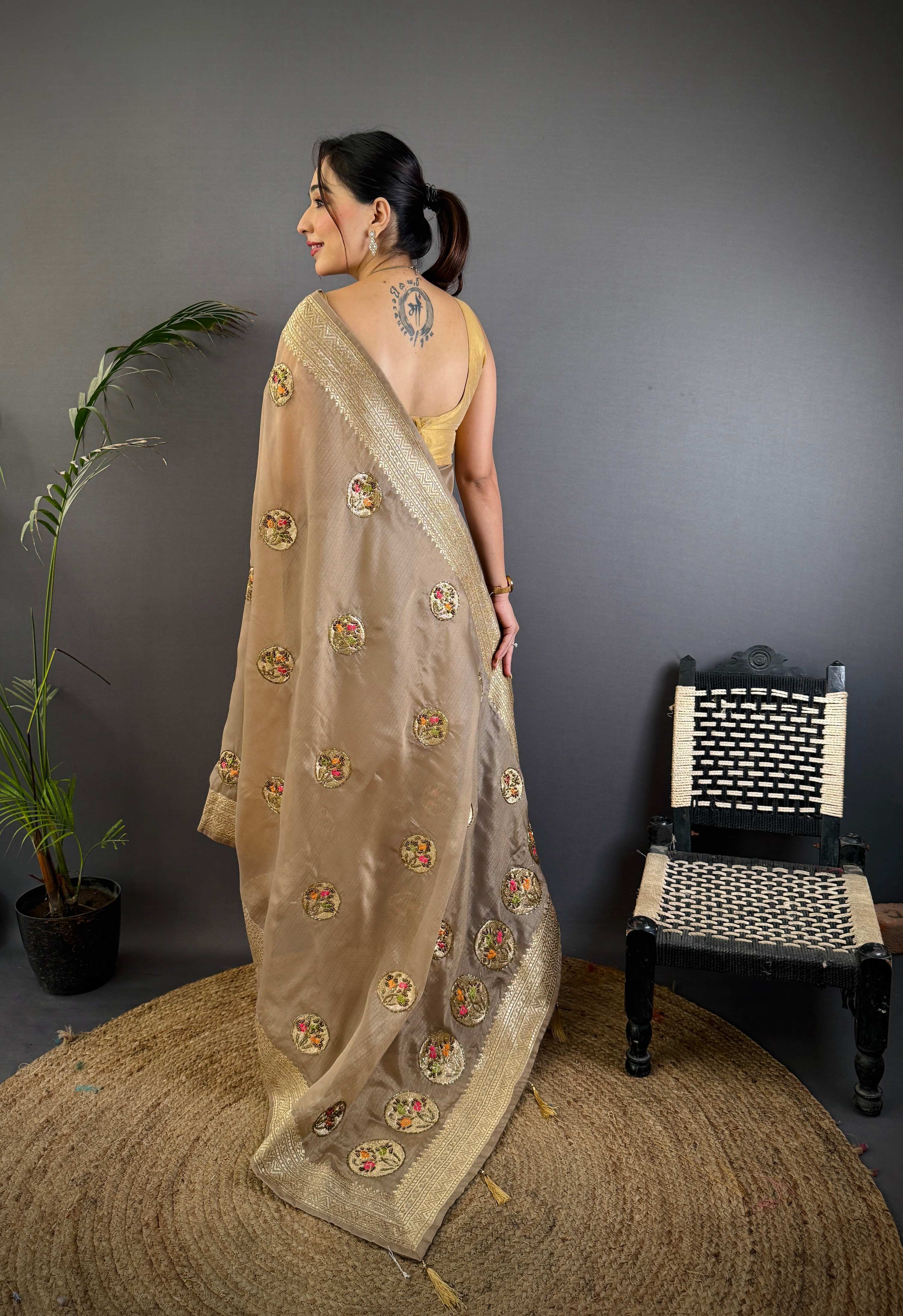 Sonakshi Women'S Chiku Pure Organza Silk With Attractive Embroidery Work Traditional Saree With Blouse | Grocsy