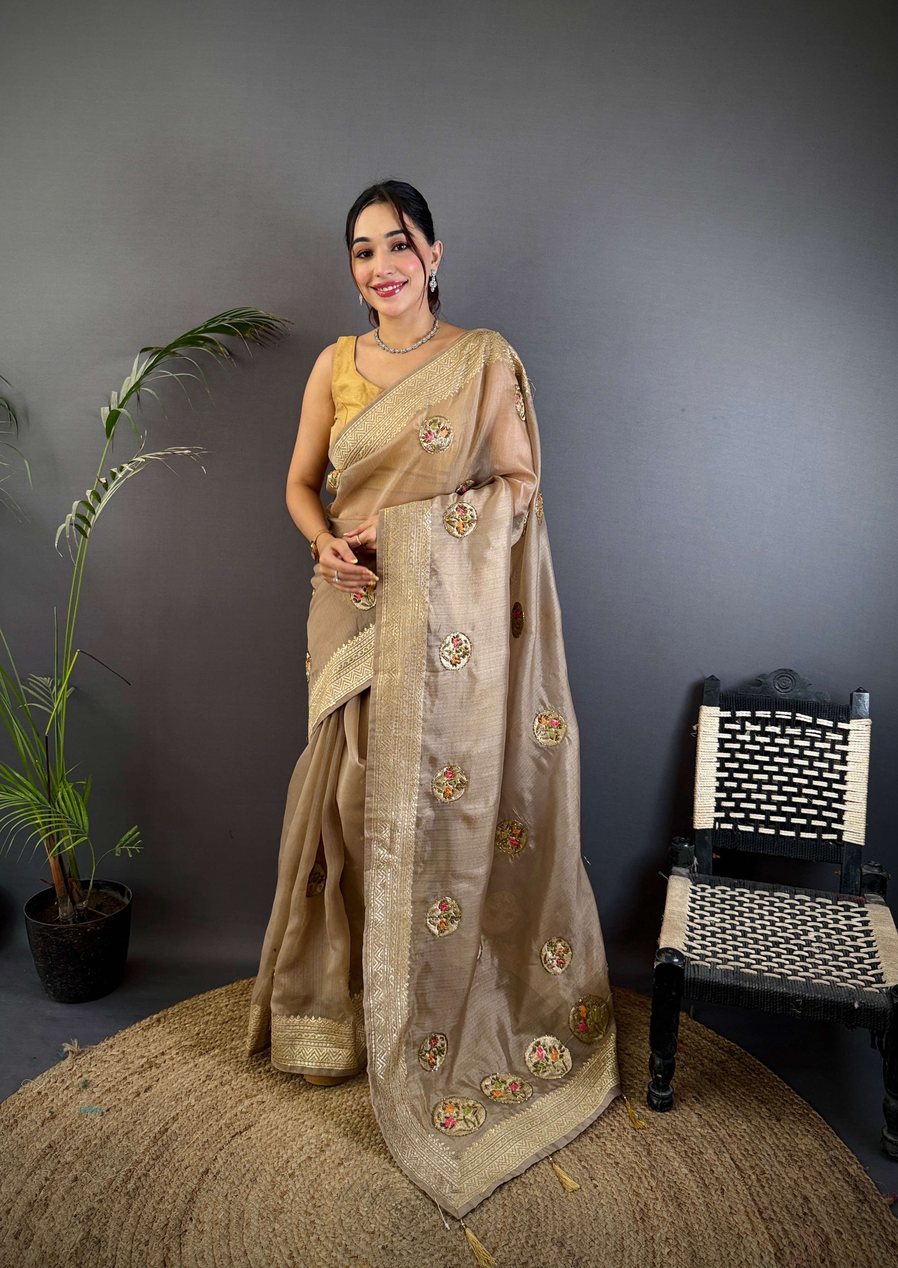 Sonakshi Women'S Chiku Pure Organza Silk With Attractive Embroidery Work Traditional Saree With Blouse | Grocsy