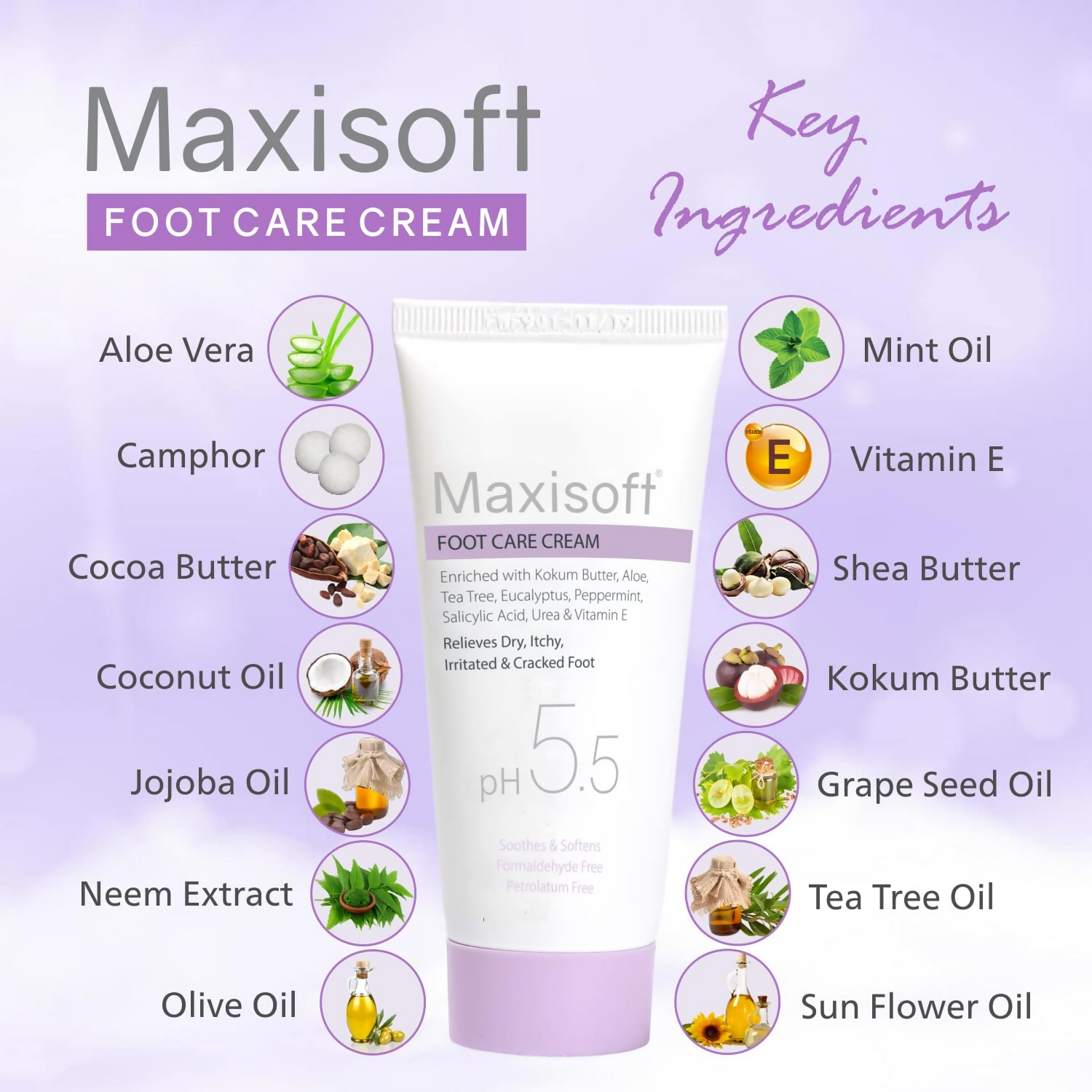 Maxisoft Foot Care Cream | Grocsy