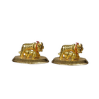 Sri Rudra Cow | Grocsy