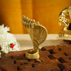 Sri Rudra Seshnag (SR 02239) | Grocsy