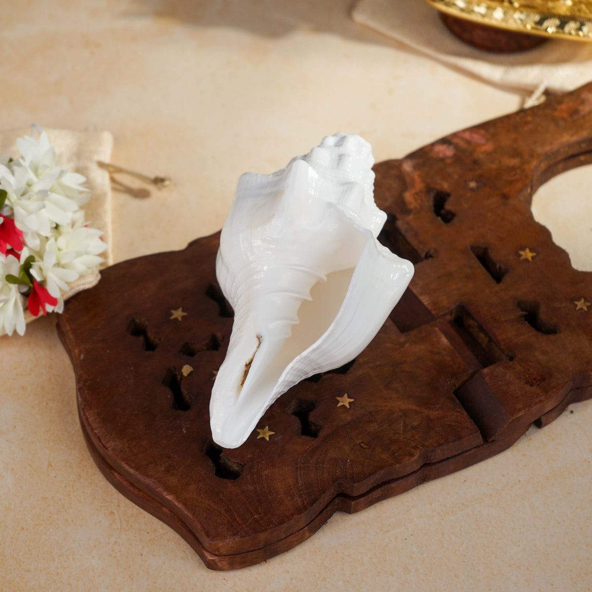 Sri Rudra Blowing Shank Big (SR 03095) | Grocsy