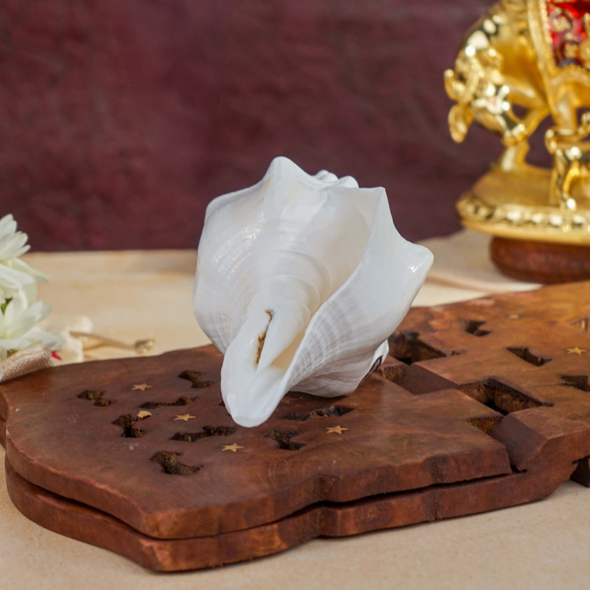 Sri Rudra Blowing Shank Big (SR 03095) | Grocsy