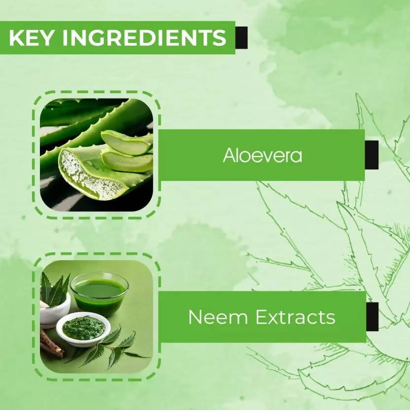 Ae Naturals Pure Aloevera Gel With Neem Extracts | Grocsy