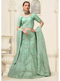 Myra Pista Net Heavy Embroidered Lehenga Choli | Grocsy