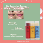House of Beauty Pout Perfect Tinted Lip Balm Set | Grocsy