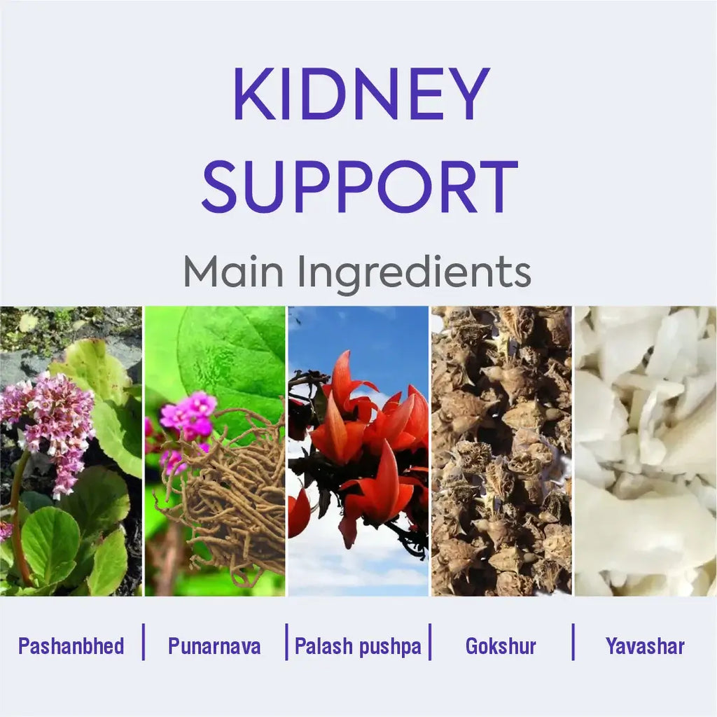 Herbal Hills Ayurveda Stonhills Tablets | Grocsy