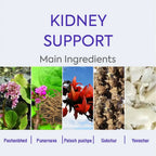 Herbal Hills Ayurveda Stonhills Tablets | Grocsy