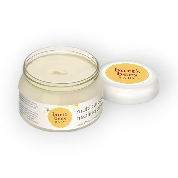 Burt's Bees Baby Multipurpose Ointment with Shea Butter for Dry Skin | Grocsy