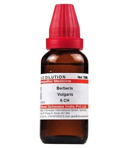 Dr. Willmar Schwabe India Berberis Vulgaris Dilution | Grocsy