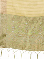 Shree Shyam Fashion Light Green Organza Saree - Ethereal Sophistication in Every Fold | Grocsy