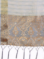 Shree Shyam Fashion Light Grey Organza Saree - Ethereal Sophistication in Every Fold | Grocsy