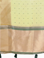 Shree Shyam Fashion Light Green Gold Organza Silk Saree - Lightweight Luxury for Your Ethnic Moments | Grocsy