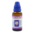 Father Muller Calcarea Fluorica Dilution | Grocsy