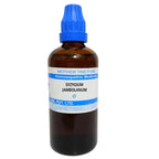SBL Herbal Botanical Syzygium Jambolanum Liquid Extract Q | Grocsy