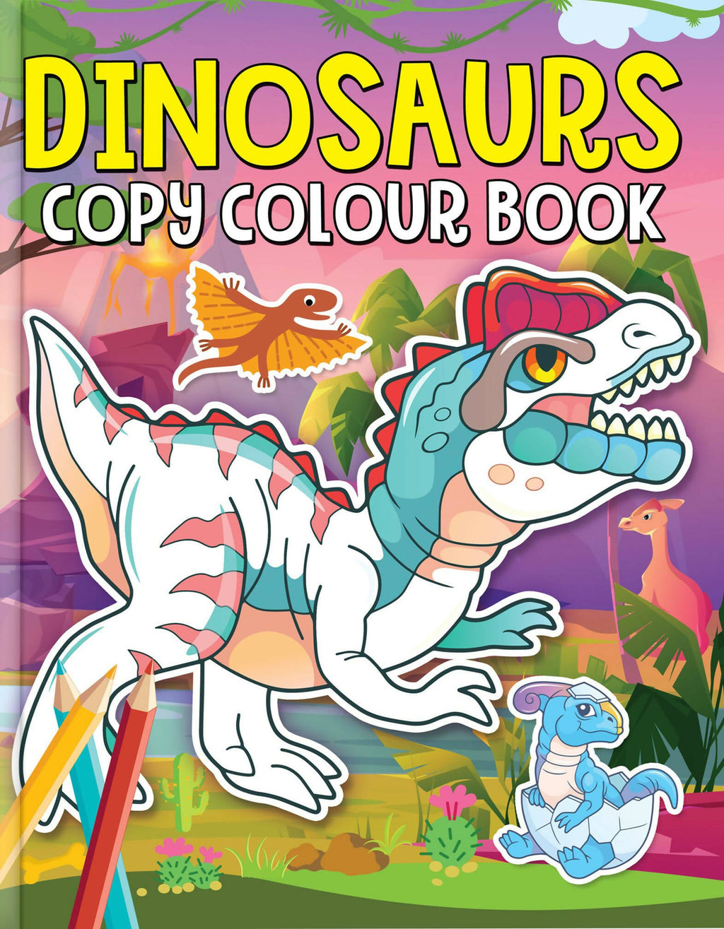Dreamland Dinosaurs Copy Colour Book | Grocsy