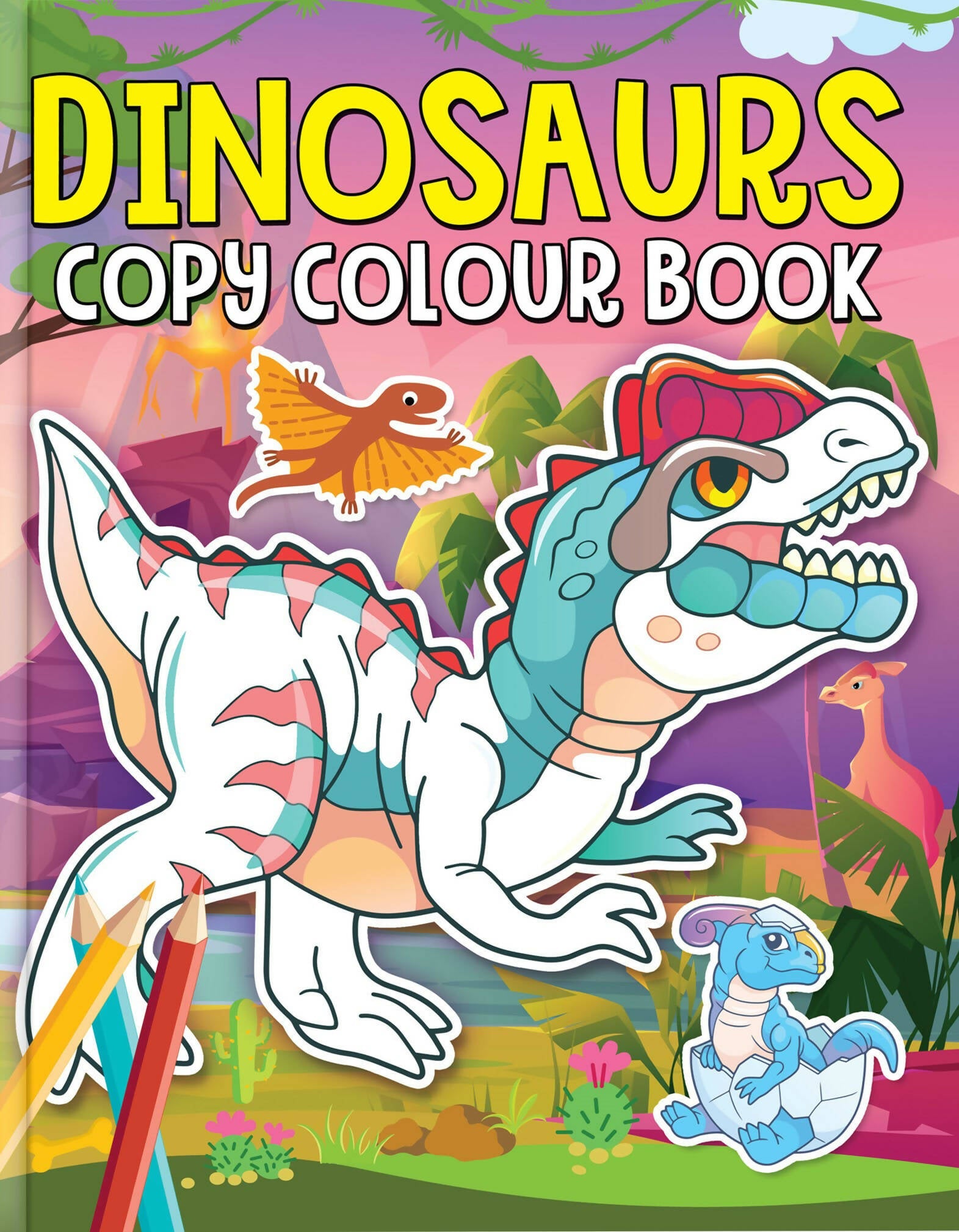 Dreamland Dinosaurs Copy Colour Book | Grocsy