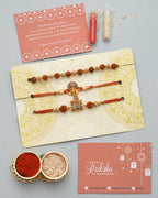 trueBrowns X Voylla Set Of 3 Auspicious Rudraksha Studded Rakhis | Grocsy