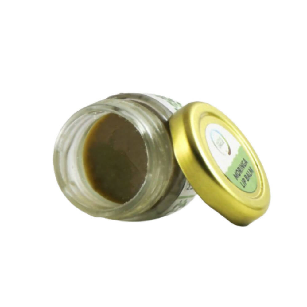 Native Circle Moringa Lip Balm | Grocsy