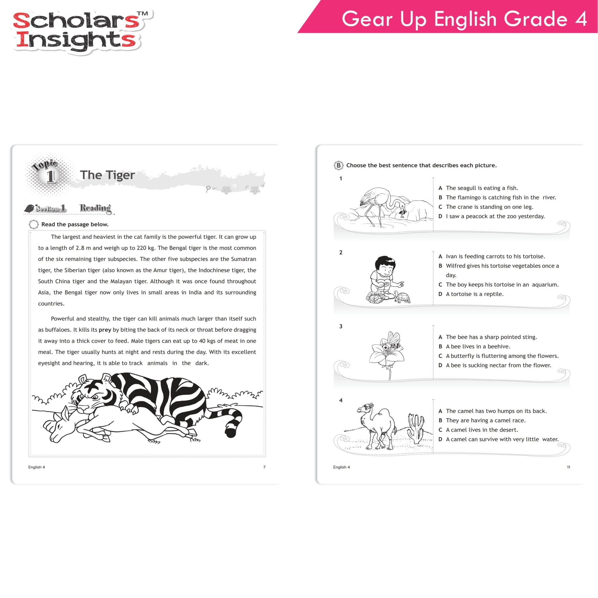 Scholars Insights Gear Up English Grade 4 | Grocsy