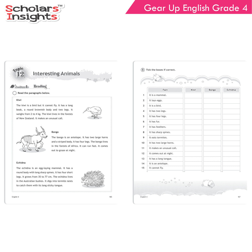 Scholars Insights Gear Up English Grade 4 | Grocsy