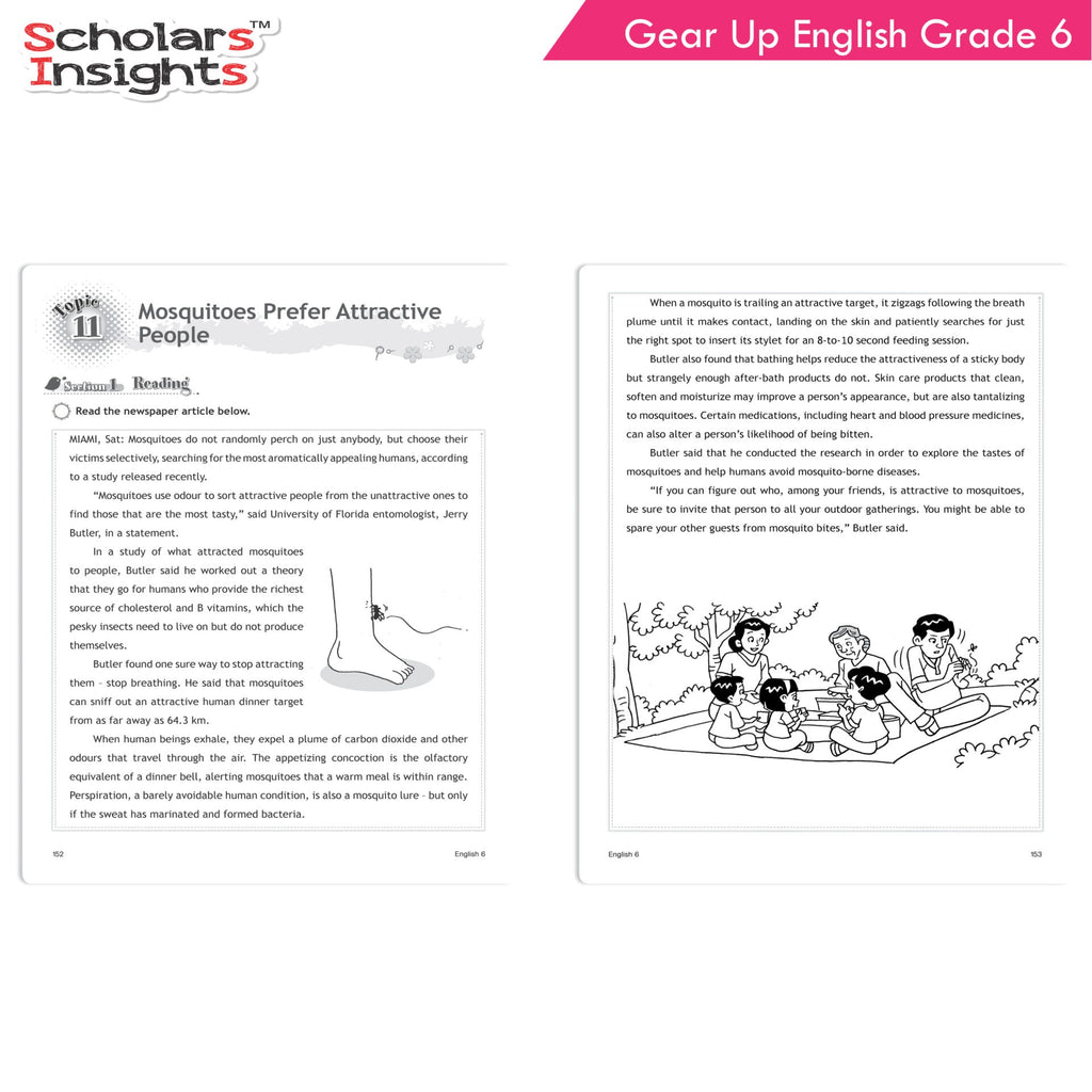 Scholars Insights Gear Up English Grade 6 | Grocsy