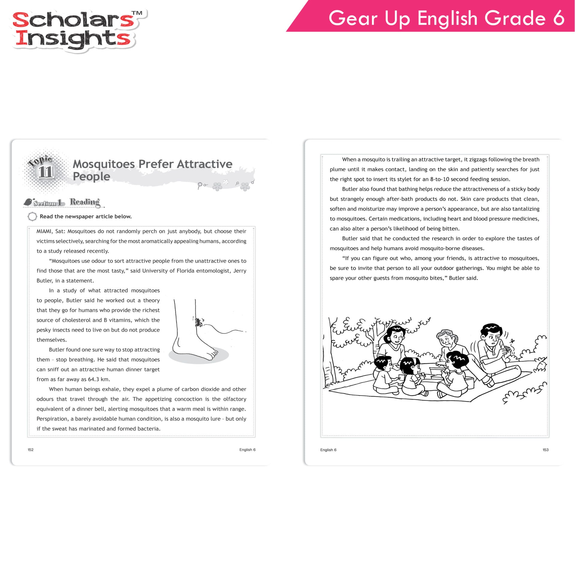 Scholars Insights Gear Up English Grade 6 | Grocsy