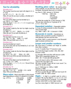 Scholars Insights Mental Maths Book 4 | Grocsy