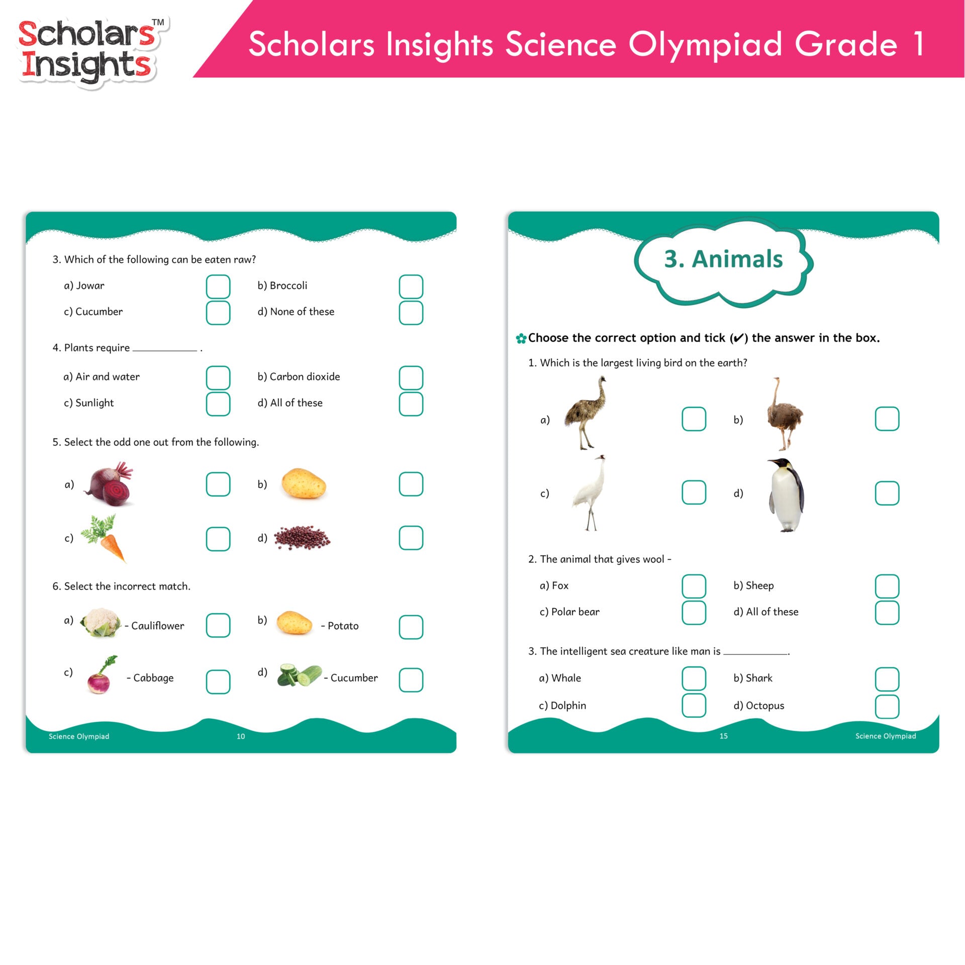 Scholars Insights Olympiad English, Maths and Science Workbooks Set Grade 1| Set of 3| Ages 6 - 8 Year | Grocsy