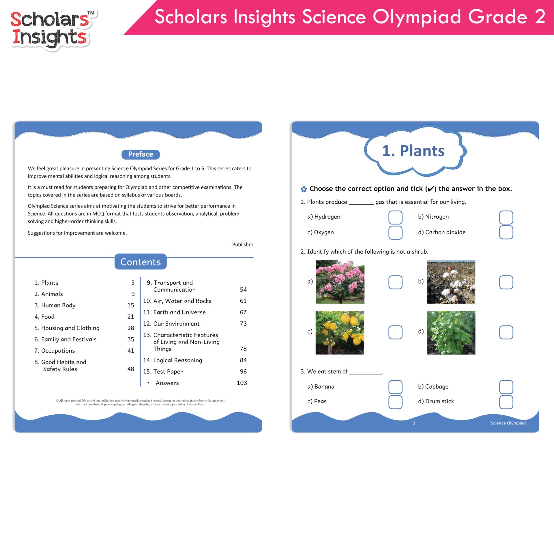 Scholars Insights Olympiad English, Maths and Science Workbooks Set Grade 2| Set of 3| Ages 7 - 9 Year | Grocsy