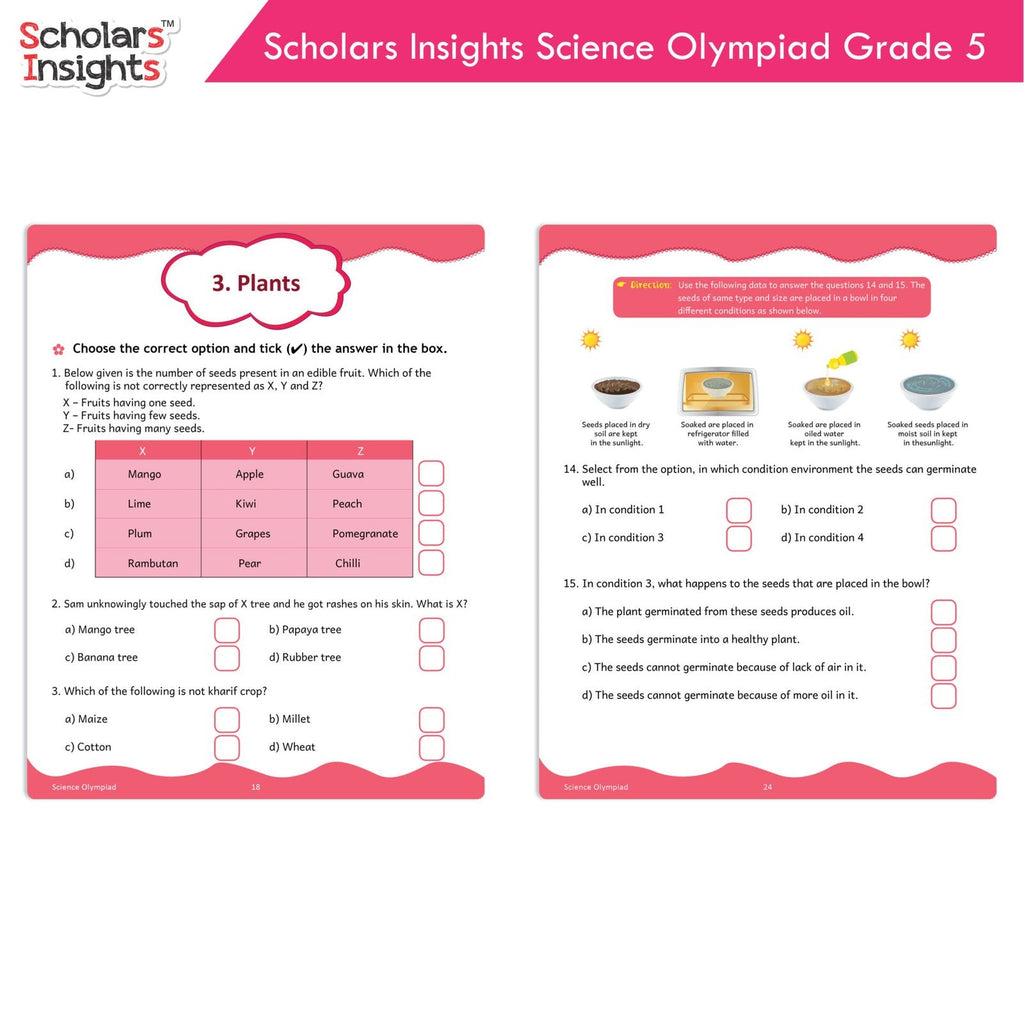 Scholars Insights Olympiad English, Maths and Science Workbooks Grade 5| Set of 3| Ages 10 - 12 Year | Grocsy