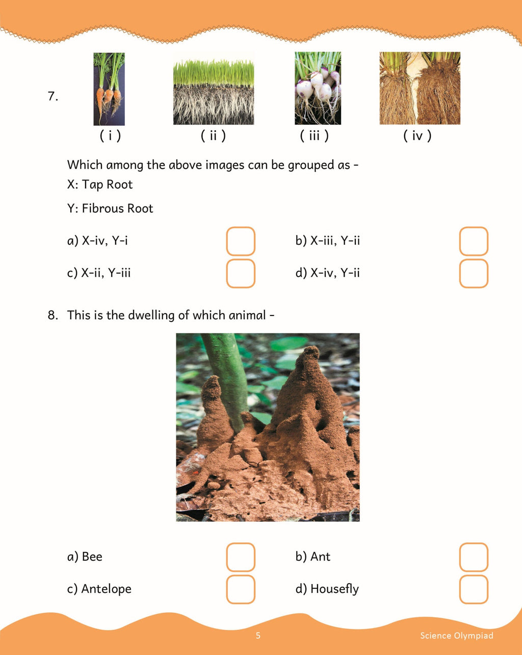 Scholars Insights Science Olympiad Grade 3 | Grocsy
