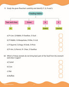 Scholars Insights Science Olympiad Grade 3 | Grocsy