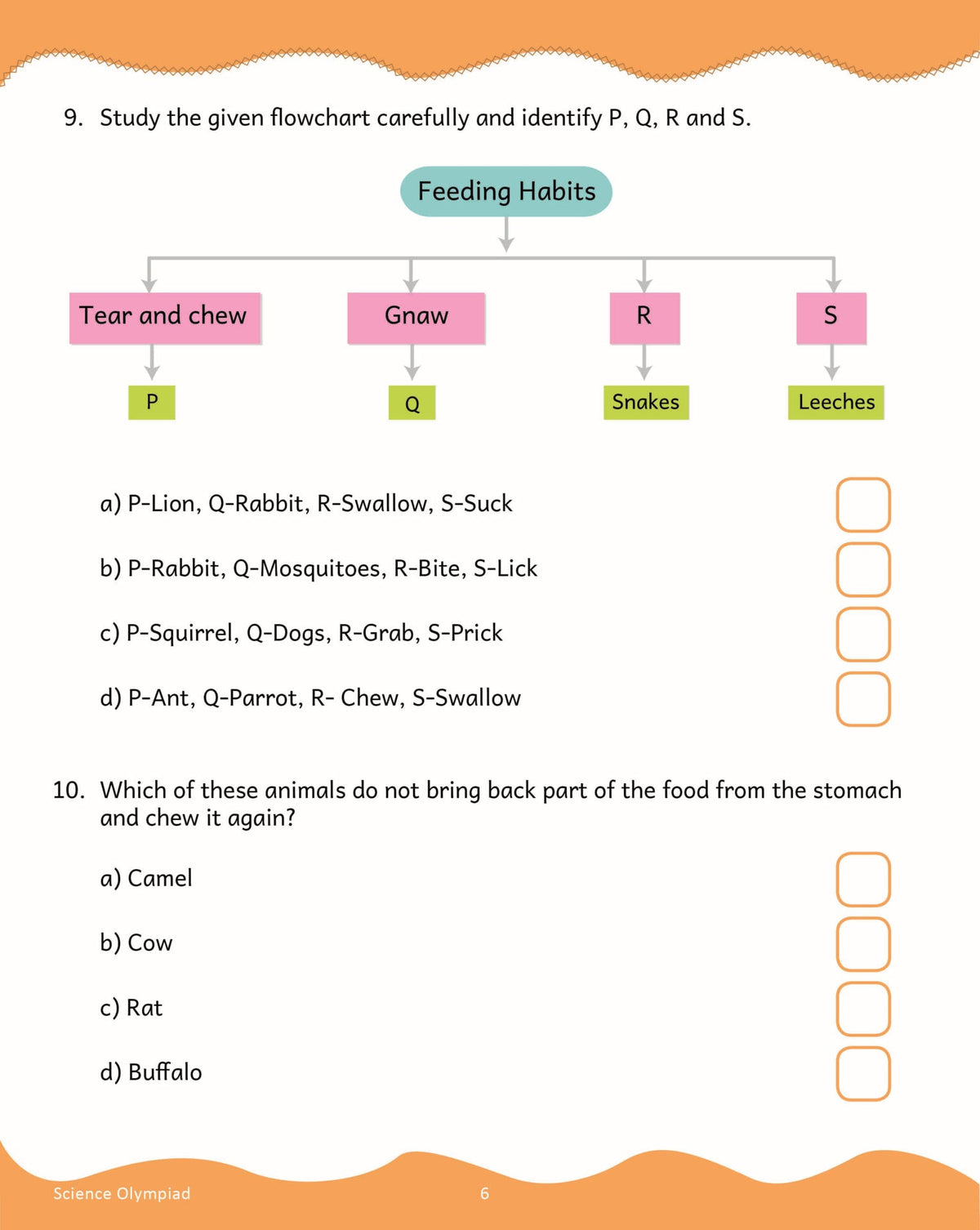 Scholars Insights Science Olympiad Grade 3 | Grocsy
