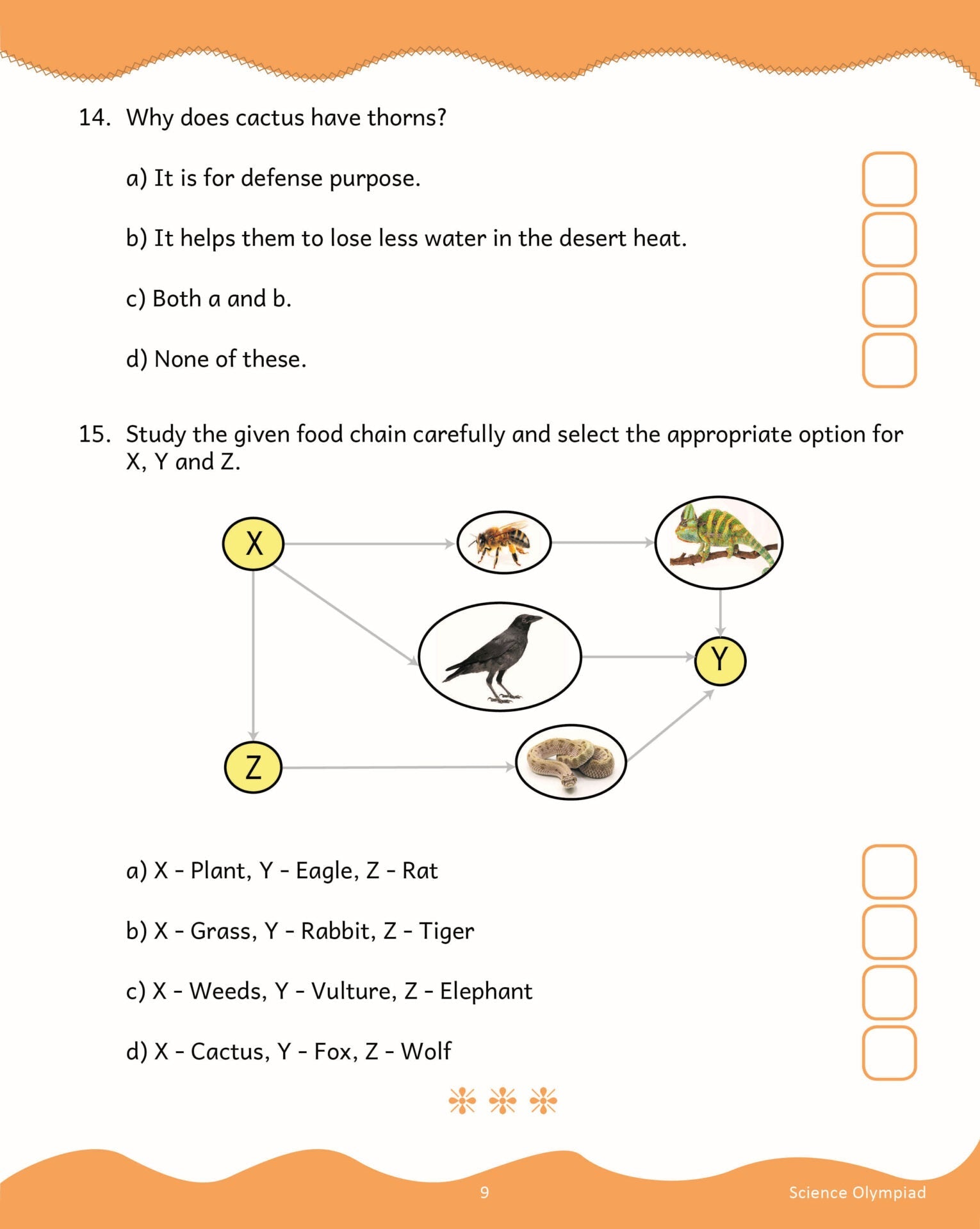 Scholars Insights Science Olympiad Grade 3 | Grocsy