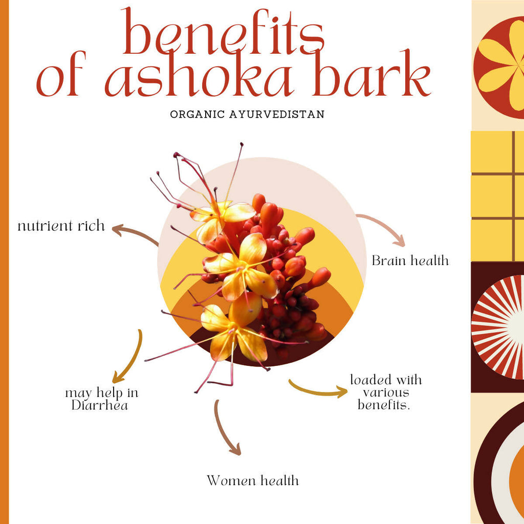 Organic AyurveGrocsyn Ashoka Bark Powder | Grocsy