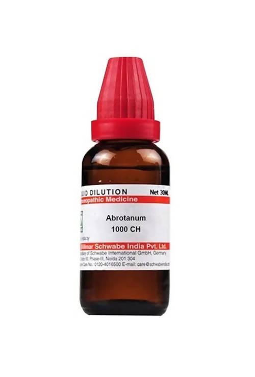 Dr. Willmar Schwabe India Abrotanum Dilution | Grocsy